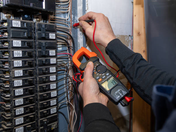Best Ceiling Fan Installation Electrician  in Sandy Valley, NV